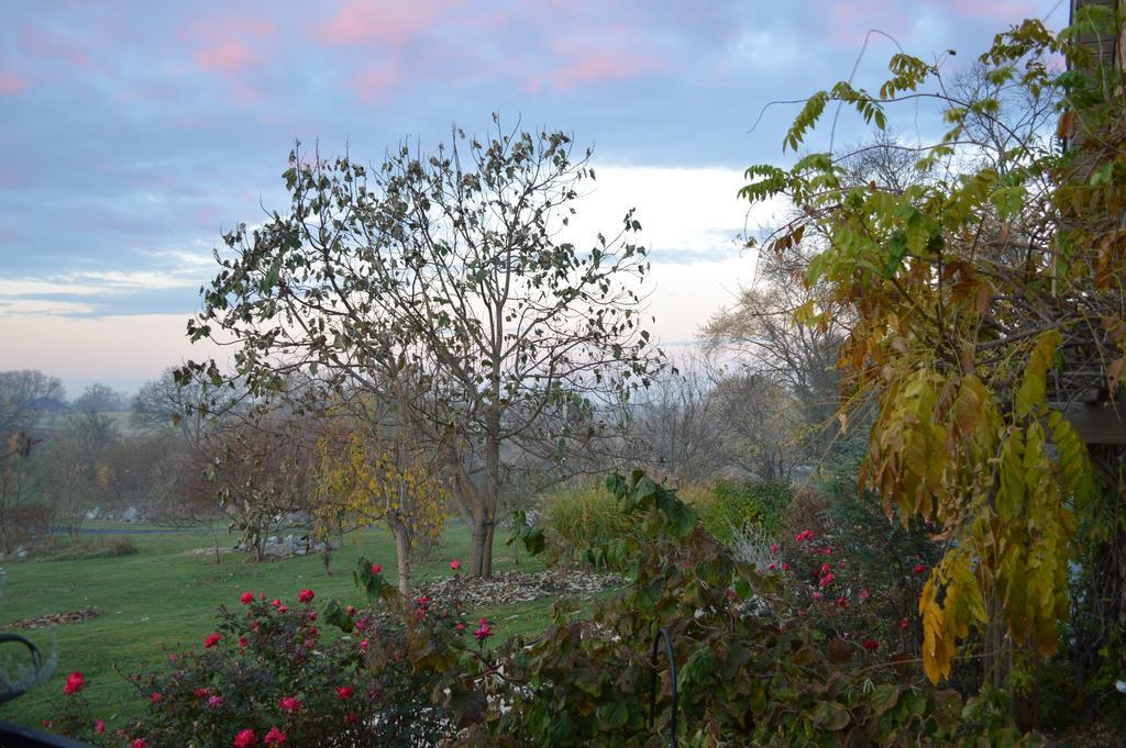 Rose Cottage Bed & BreakfastFairplay 部屋 写真